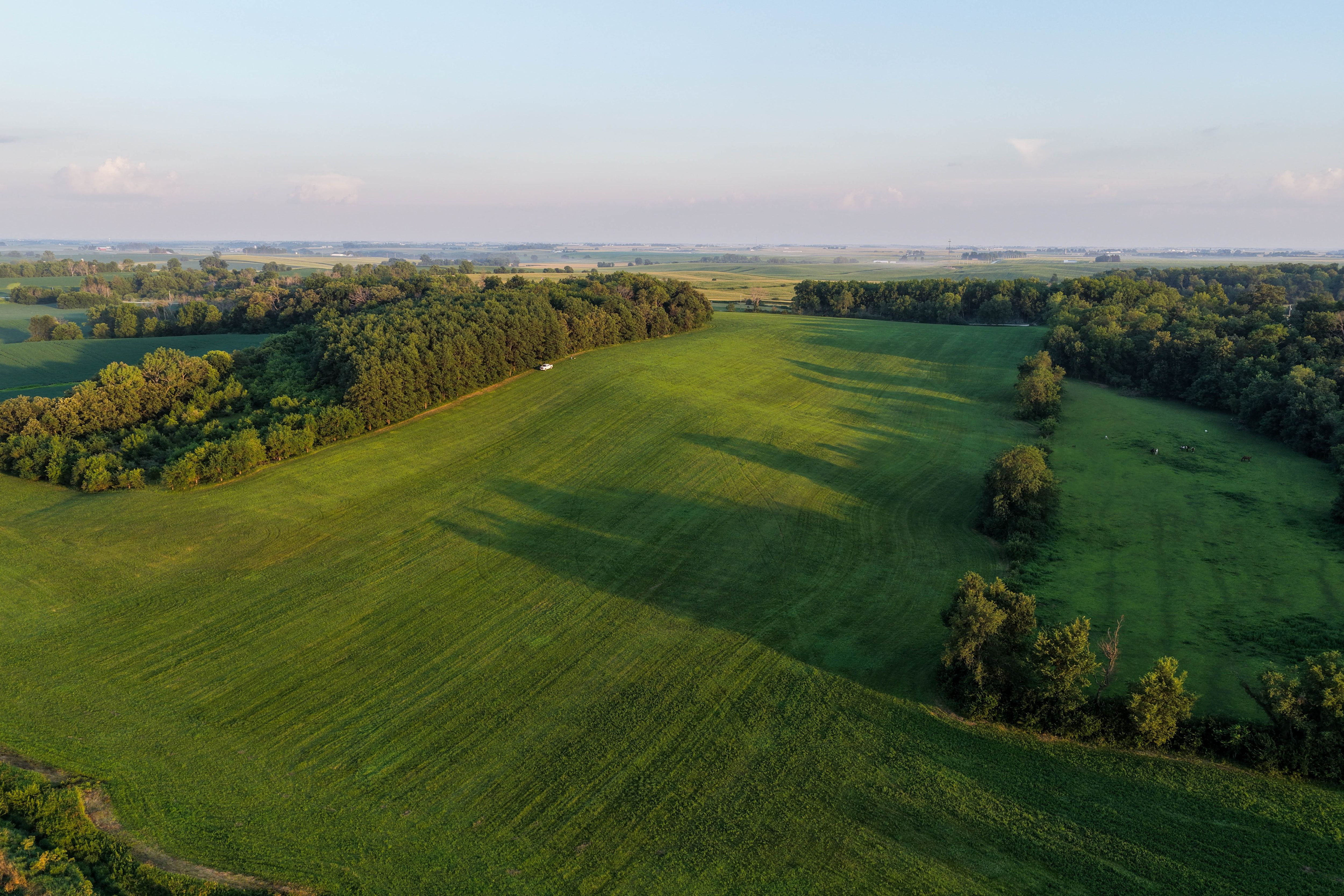 Listing Photo: Johnson County Land For Sale-16